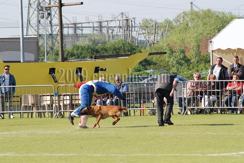 3 EME SELECTIF 2009 GRANDE SYNTHE 231.jpg